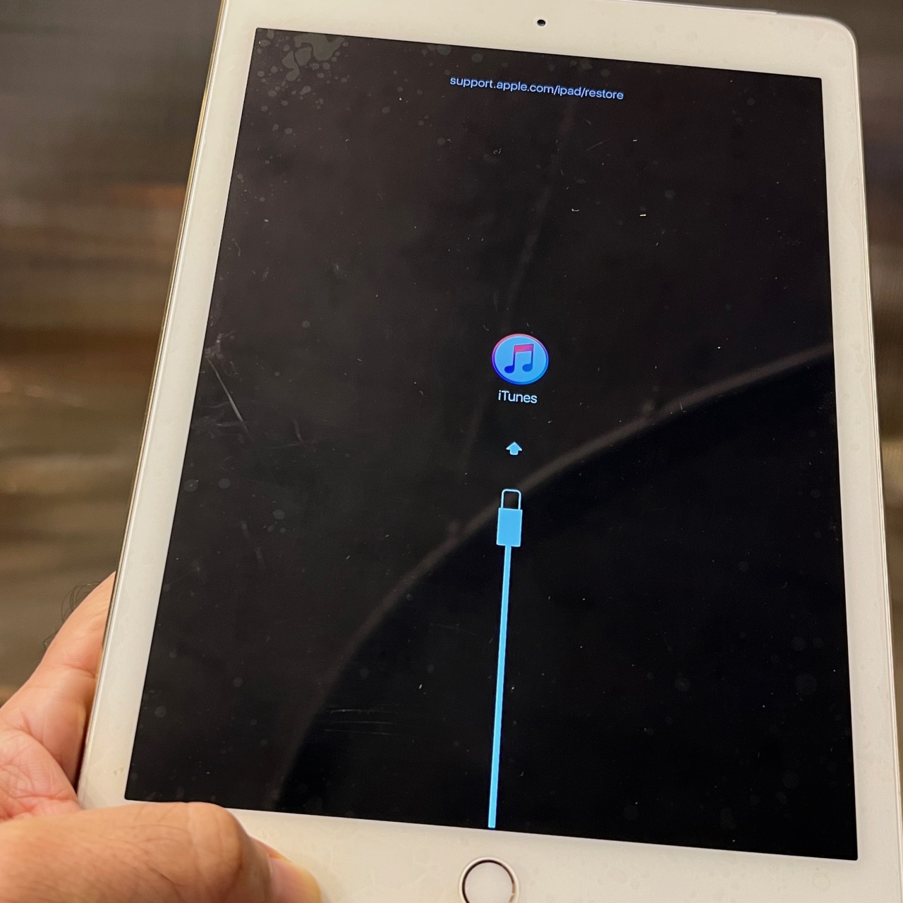 iPad Air 2 (Wi-Fi + Cellular) A1567 アップデート失敗 データ